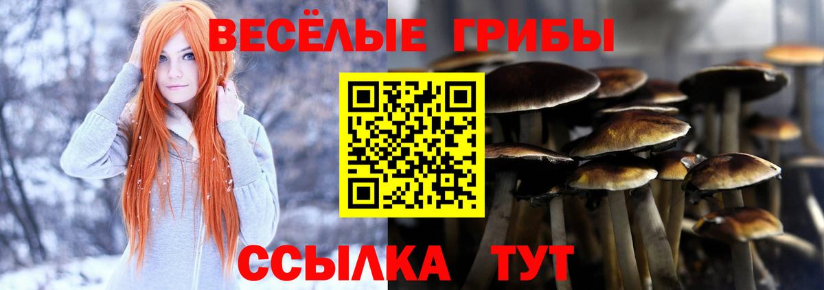 Псилоцибиновые грибы ЛСД Красноярск