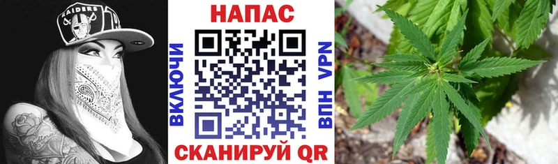 OMG ONION  Красноярск  Бошки Шишки тримм  дарнет шоп 